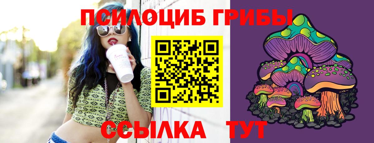 Учалы  Галлюциногенные грибы Psilocybe  Вход с VPN  Галлюциногенные грибы прущие грибы 